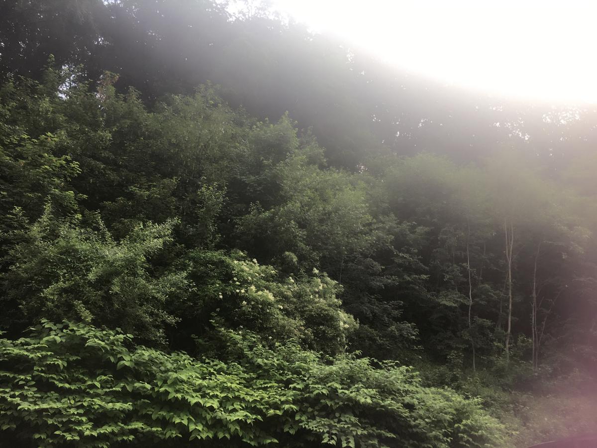 Asia Wok Gasthof Ybbs an der Donau Zewnętrze zdjęcie